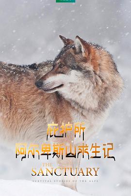 庇护所：阿尔卑斯山求生记封面图