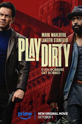 盗亦有道封面图